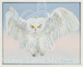 Headwigg - Digital Art Download by Nancy Land McCurtin