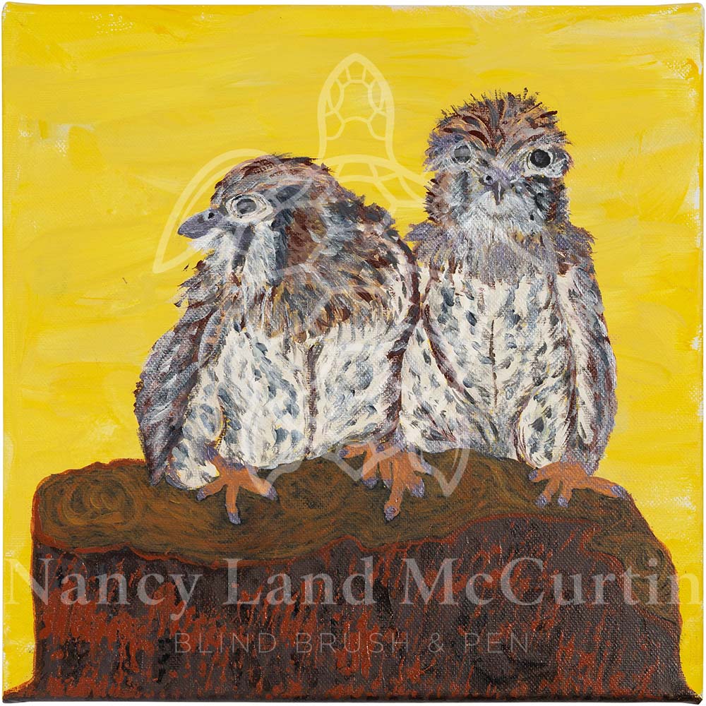 Not Tonight Dear - Digital Art Download by Nancy Land McCurtin